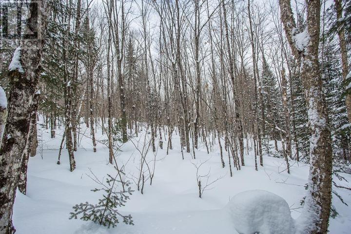 Lorem Ipsum D, Unorganized, Ontario  P0R  - Photo 33 - DEMO29406314