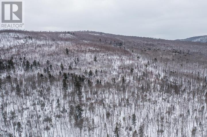 Lorem Ipsum D, Unorganized, Ontario  P0R  - Photo 6 - DEMO29406314