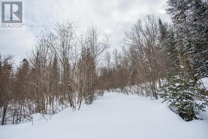 Lorem Ipsum D, Unorganized, Ontario  P0R  - Photo 29 - DEMO29406314