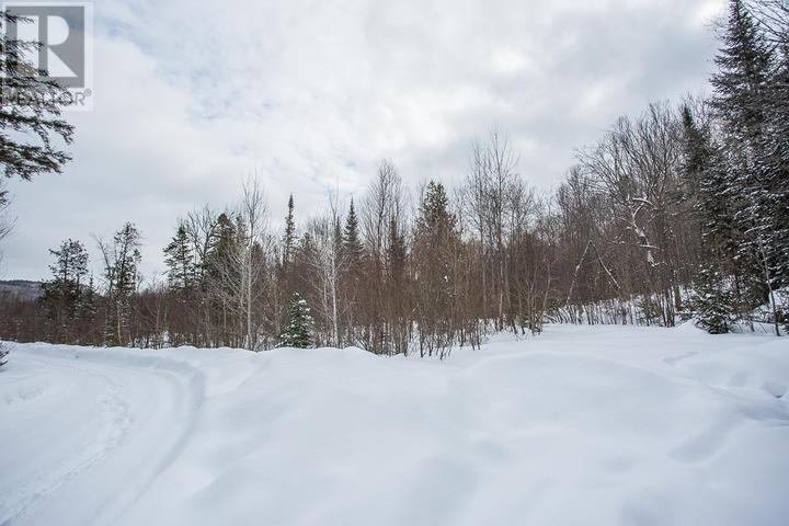 Lorem Ipsum D, Unorganized, Ontario  P0R  - Photo 27 - DEMO29406314