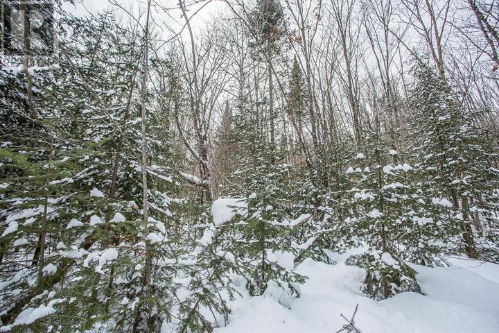 Lorem Ipsum D, Unorganized, Ontario  P0R  - Photo 32 - DEMO29406314