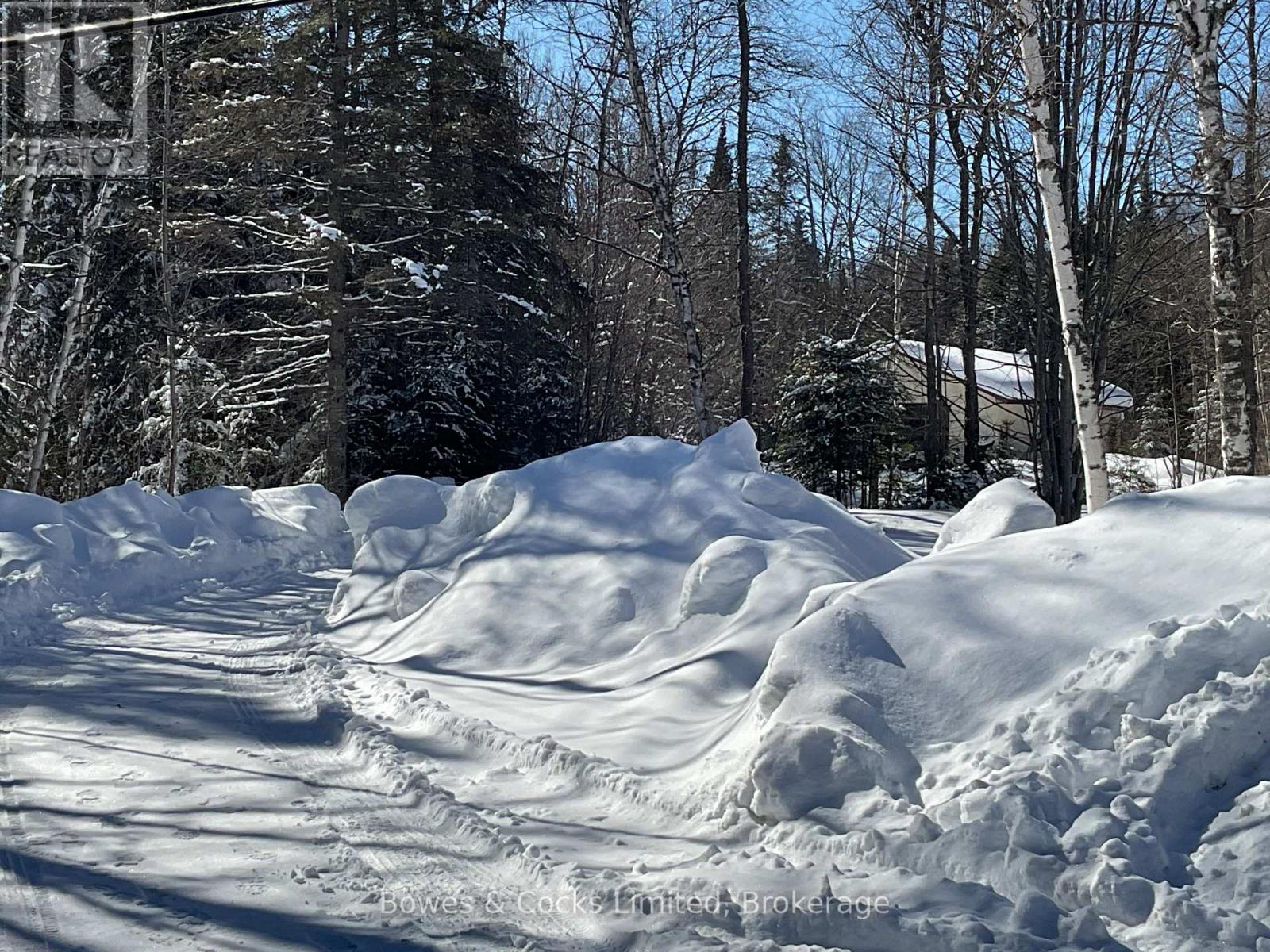 32045 Highway 62, Hastings Highlands, Ontario  K0L 2S0 - Photo 17 - X12828588