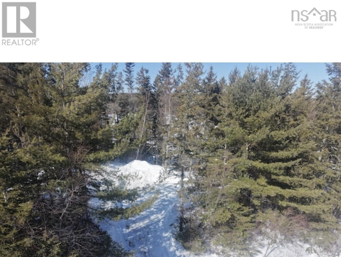 13812 Highway 4, Wentworth, Nova Scotia  B0M 1E0 - Photo 11 - 202603533