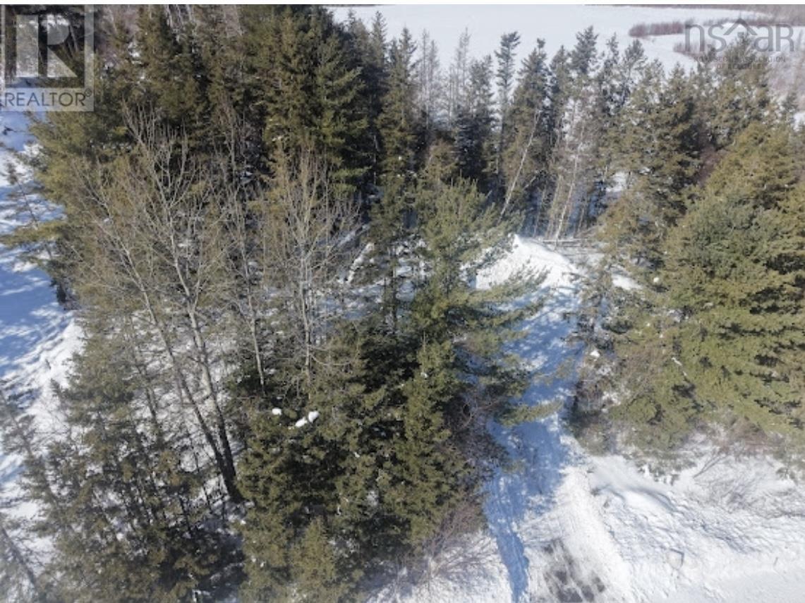 13812 Highway 4, Wentworth, Nova Scotia  B0M 1E0 - Photo 15 - 202603533