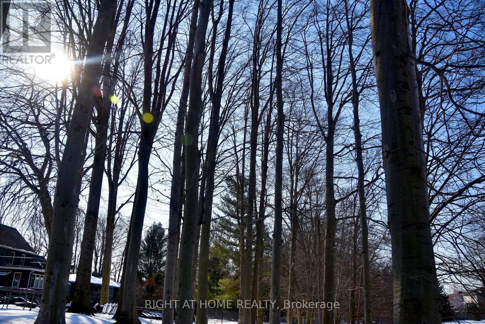 994 Haist Street, Pelham, Ontario  L0S 1E4 - Photo 2 - X12828732
