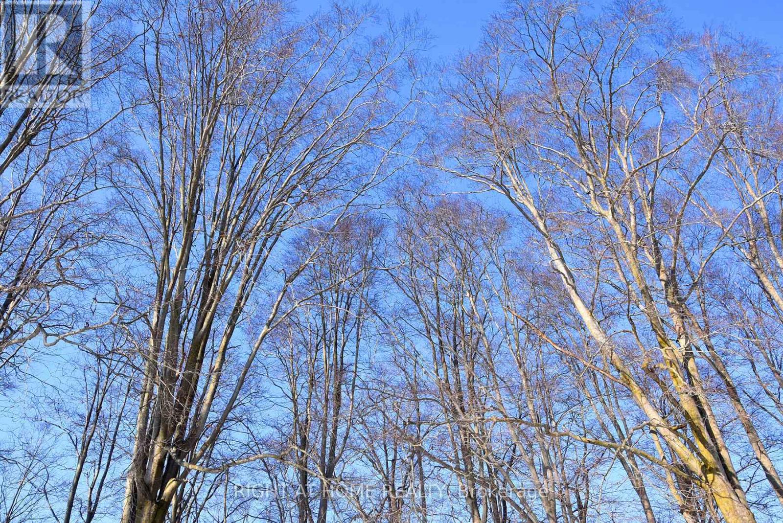 994 Haist Street, Pelham, Ontario  L0S 1E4 - Photo 31 - X12828732