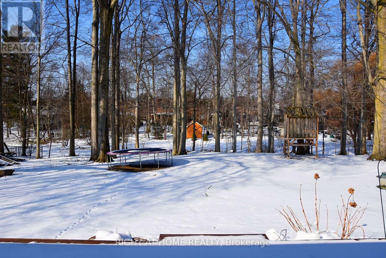 994 Haist Street, Pelham, Ontario  L0S 1E4 - Photo 32 - X12828732