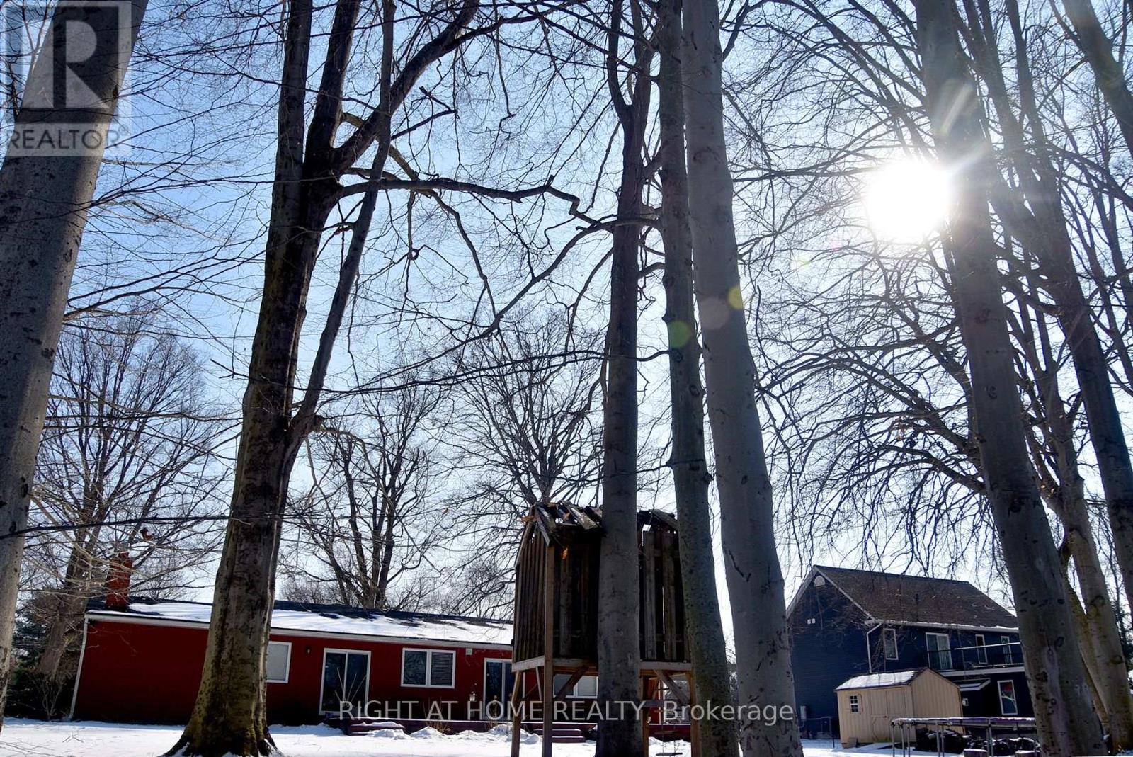 994 Haist Street, Pelham, Ontario  L0S 1E4 - Photo 35 - X12828732