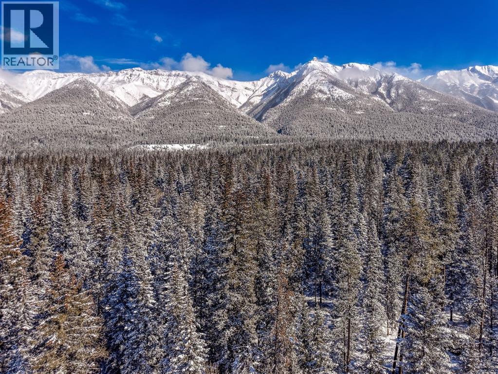 126 Elk Street, Harvie Heights, Alberta  T1W 2W2 - Photo 50 - A2288425