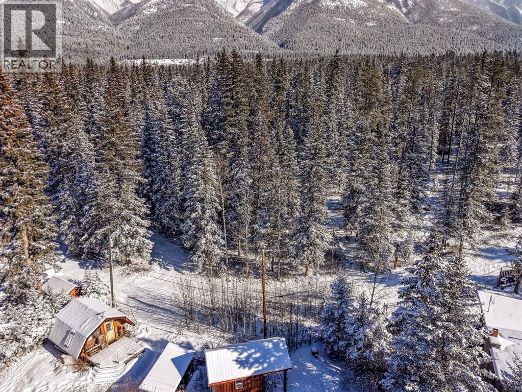 126 Elk Street, Harvie Heights, Alberta  T1W 2W2 - Photo 49 - A2288425