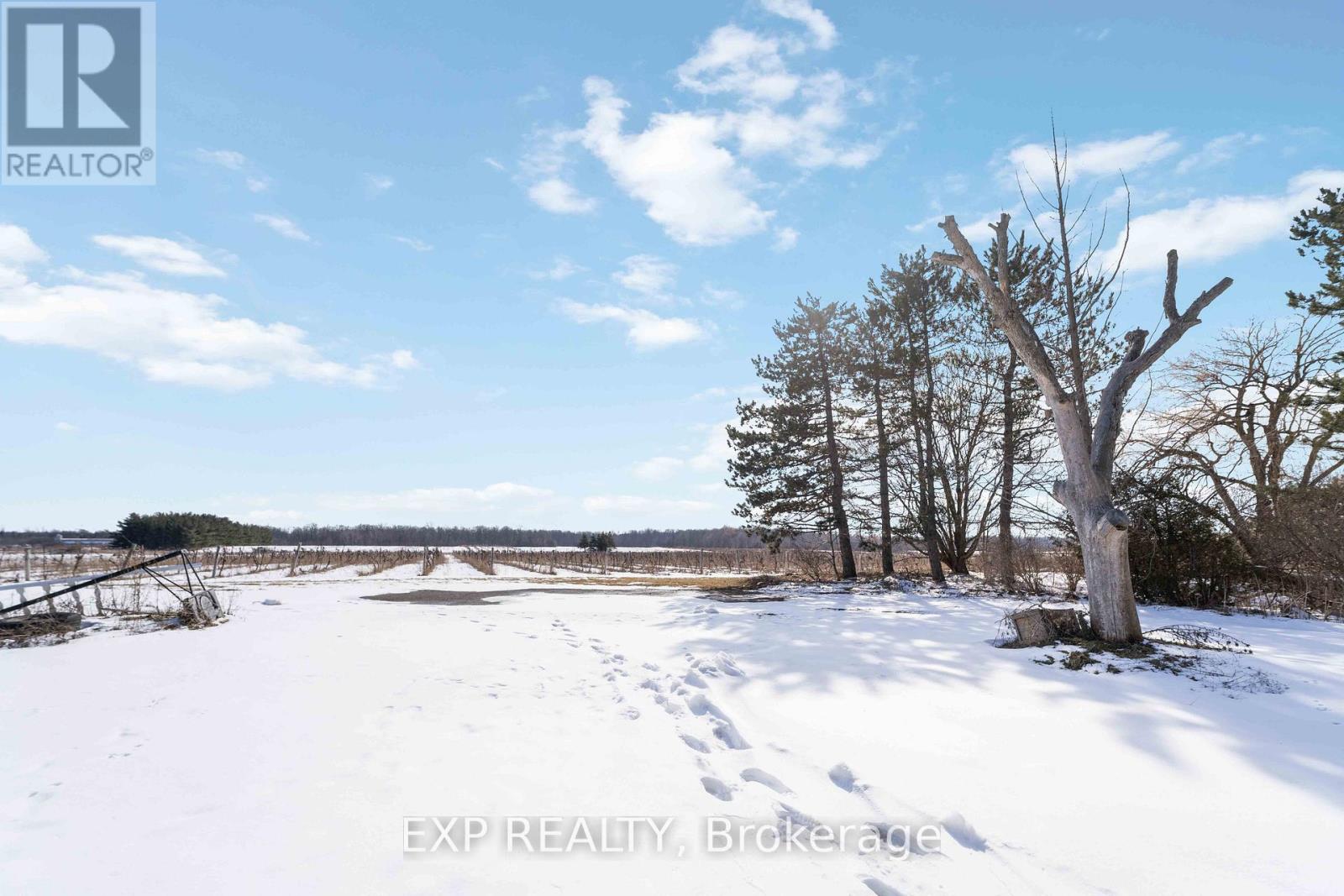 5378 Fly Road, Lincoln, Ontario  L0R 1B2 - Photo 41 - X12828790