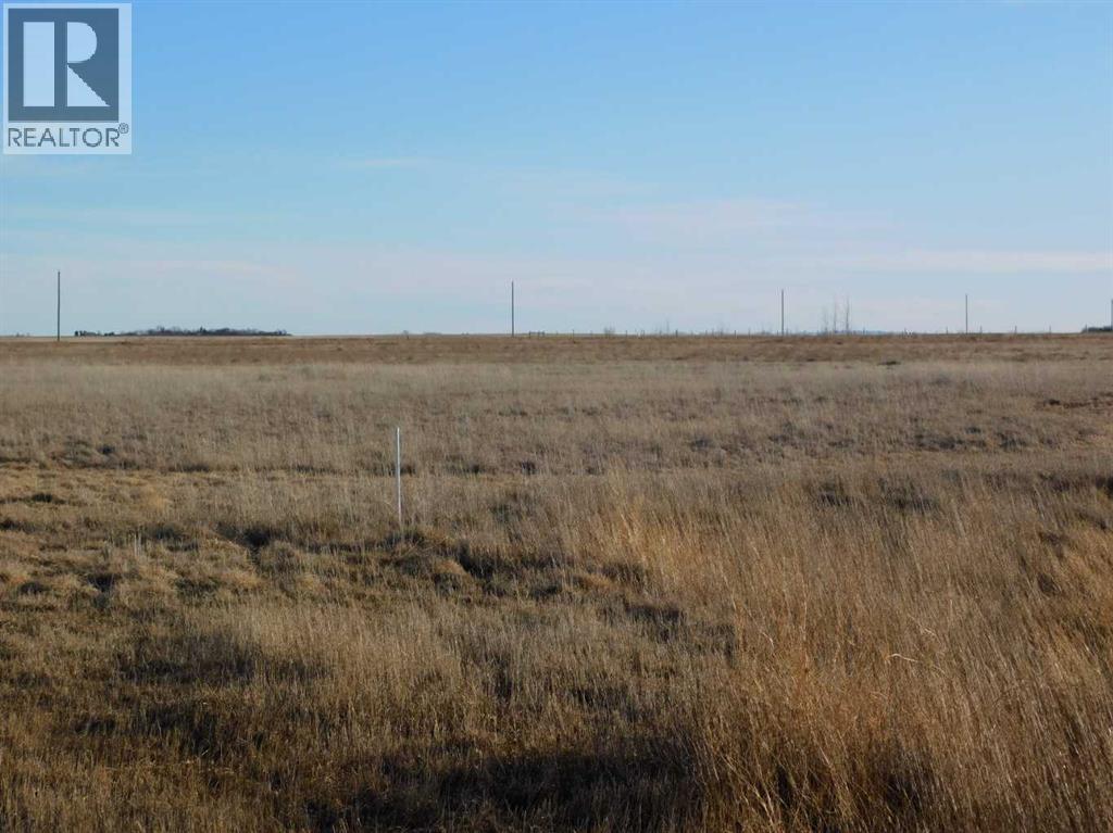 31 And 31a Leavings Street E, Granum, Alberta  T0L 1A0 - Photo 4 - A2206740