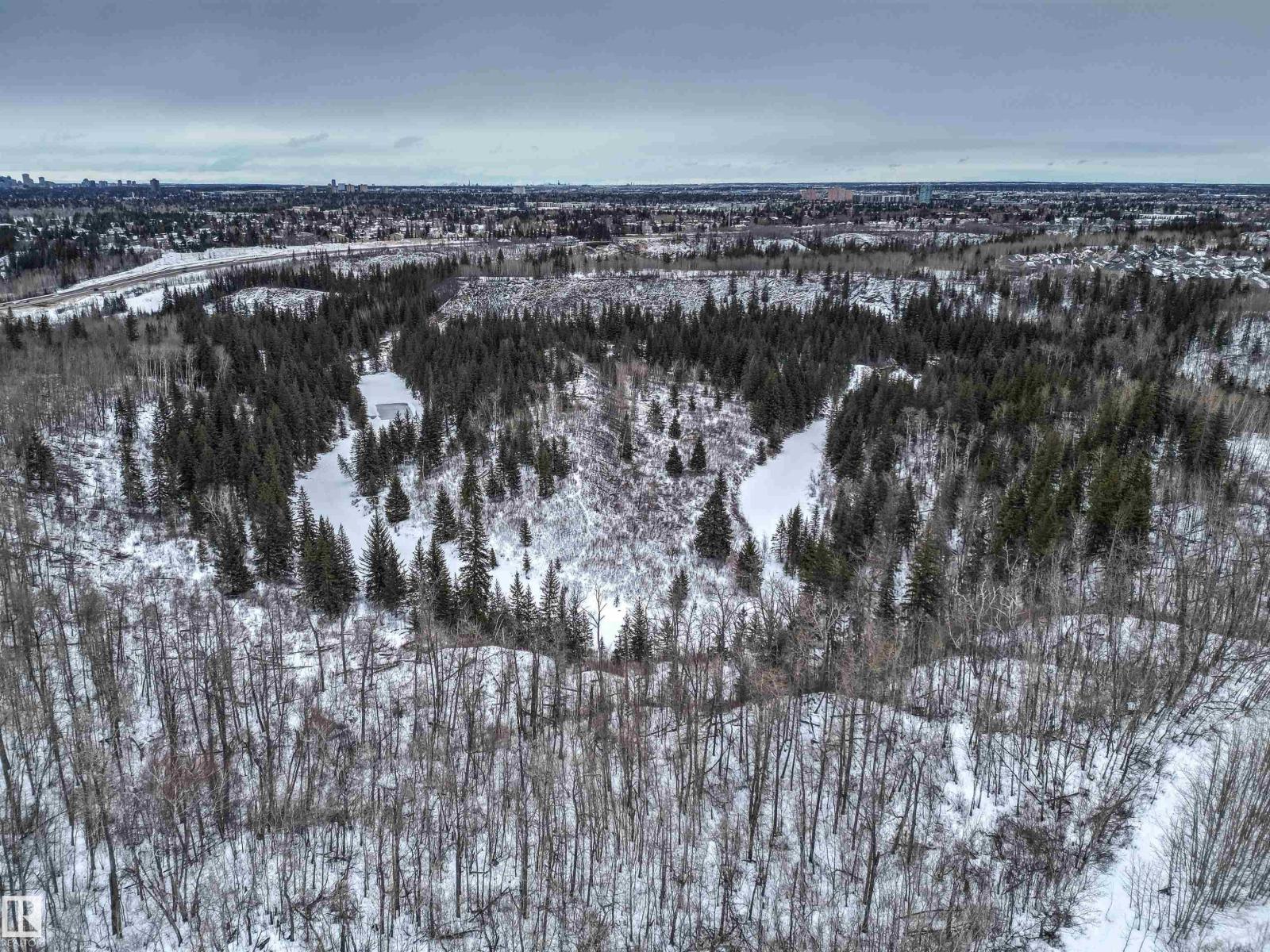 #413 7463 May Cm Nw, Edmonton, Alberta  T6R 0X1 - Photo 62 - E4475172