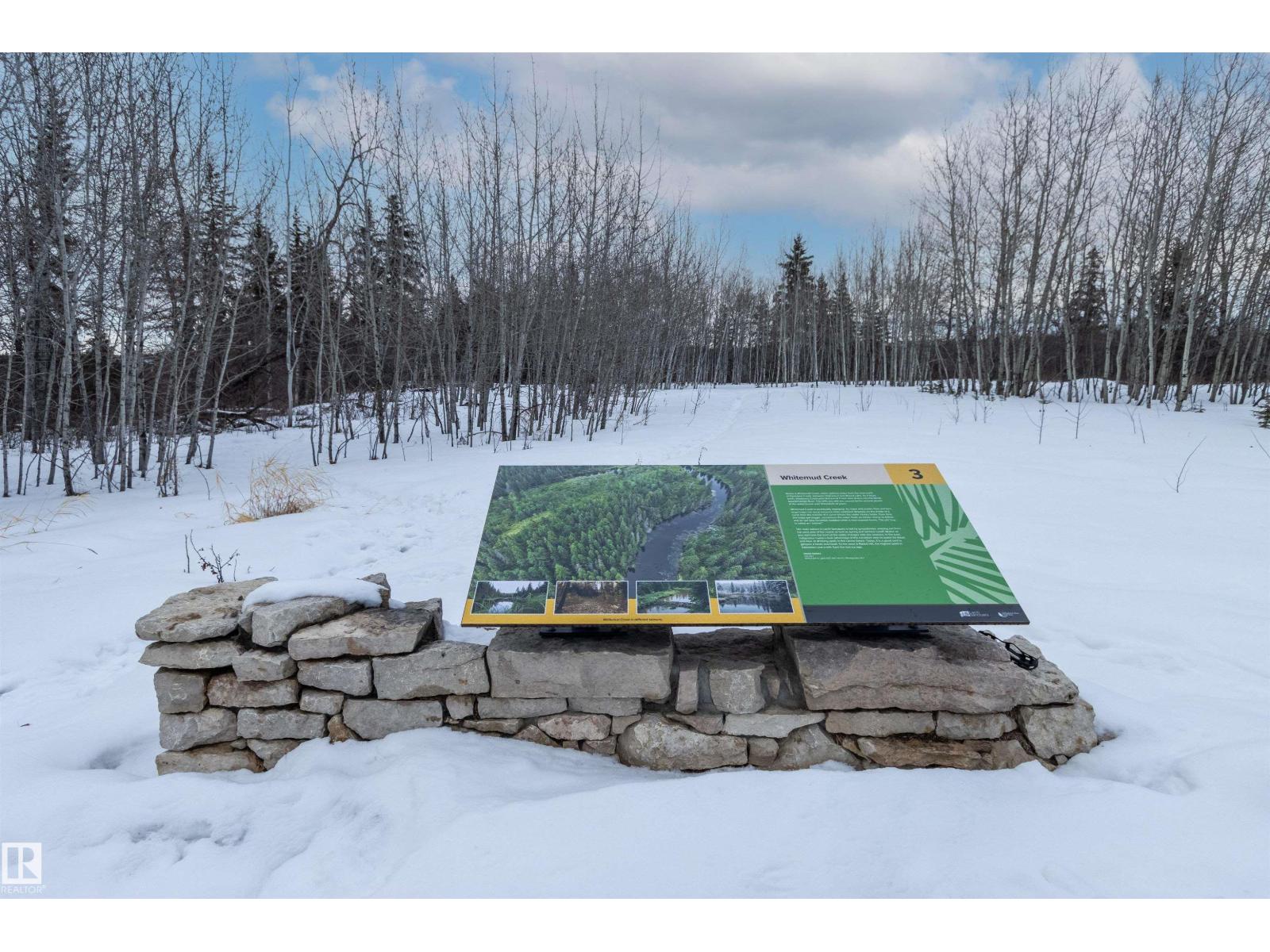 #413 7463 May Cm Nw, Edmonton, Alberta  T6R 0X1 - Photo 59 - E4475172