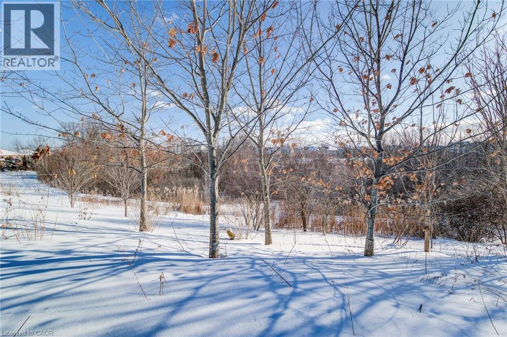 55 Upper Mercer Street, Kitchener, Ontario  N2A 4M9 - Photo 44 - 40804509