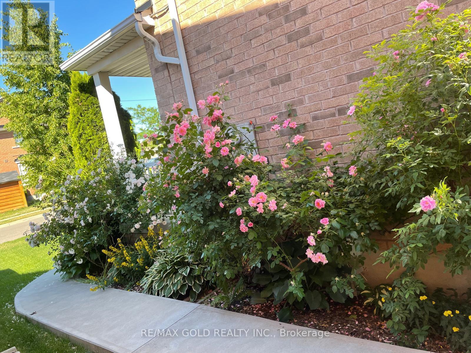 3 Spotted Owl Crescent, Brampton, Ontario  L7A 0H9 - Photo 39 - W12828884