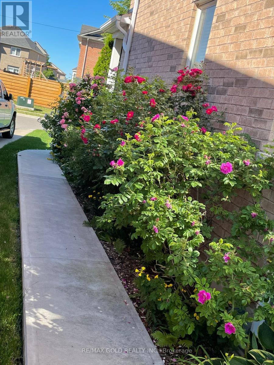 3 Spotted Owl Crescent, Brampton, Ontario  L7A 0H9 - Photo 40 - W12828884