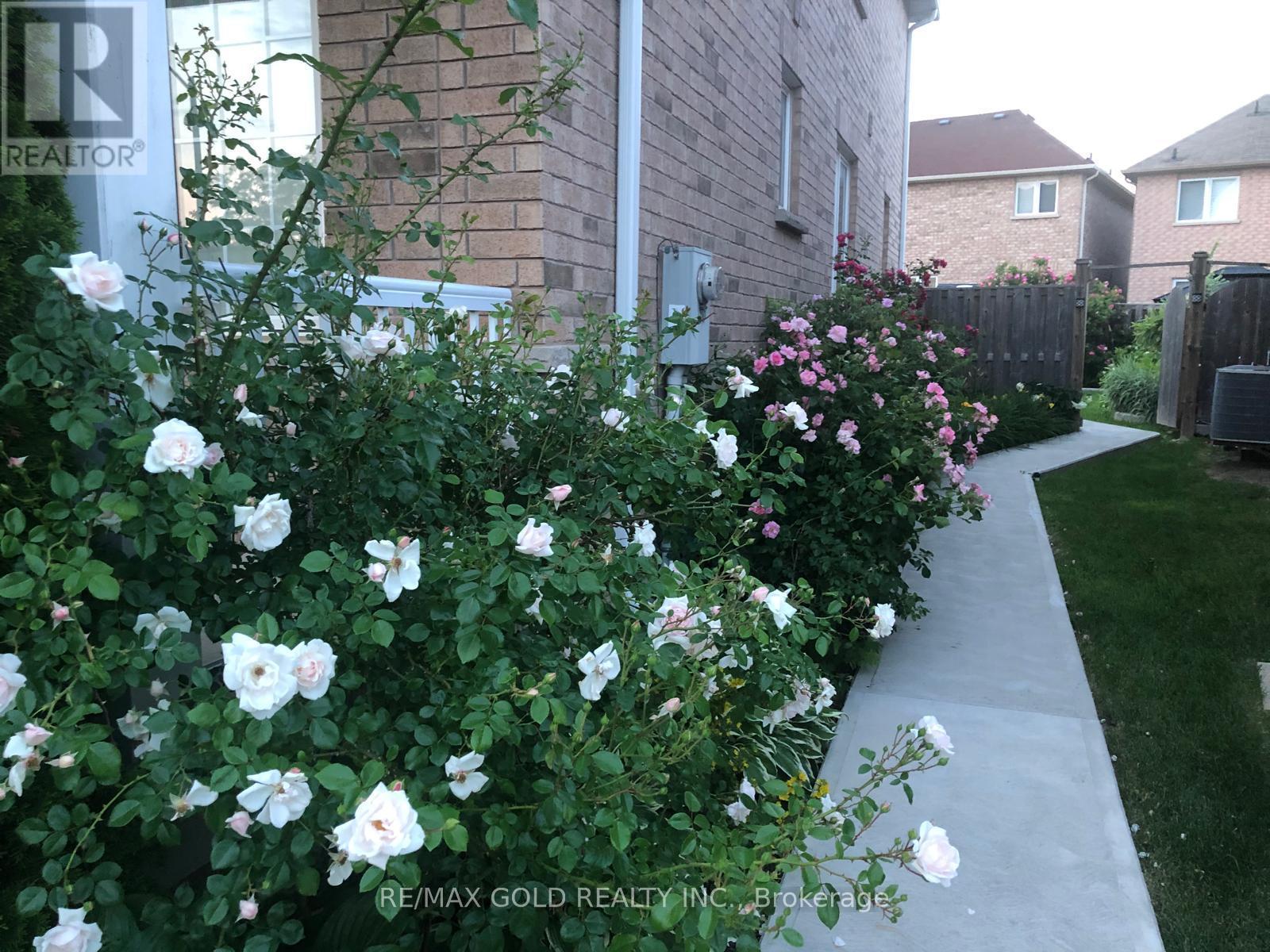 3 Spotted Owl Crescent, Brampton, Ontario  L7A 0H9 - Photo 47 - W12828884