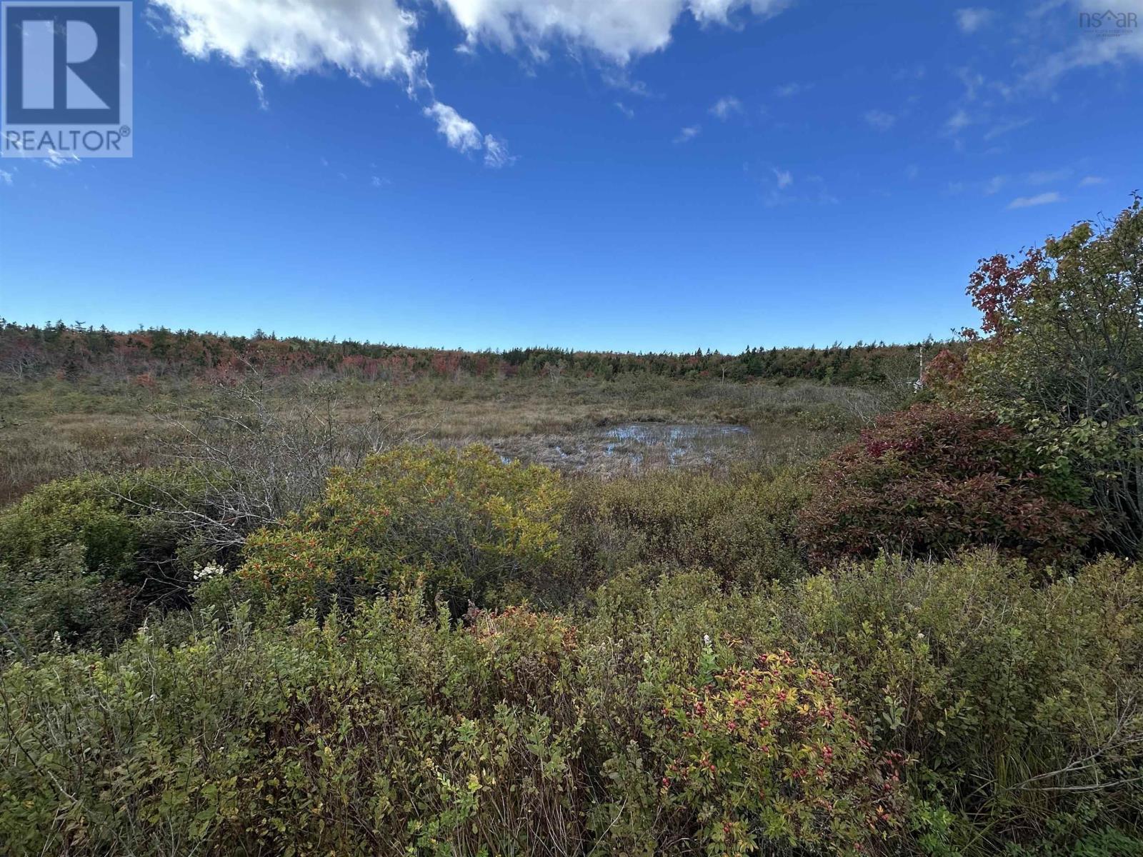 Highway 334, Plymouth, Nova Scotia  B0W 1B0 - Photo 6 - 202603544