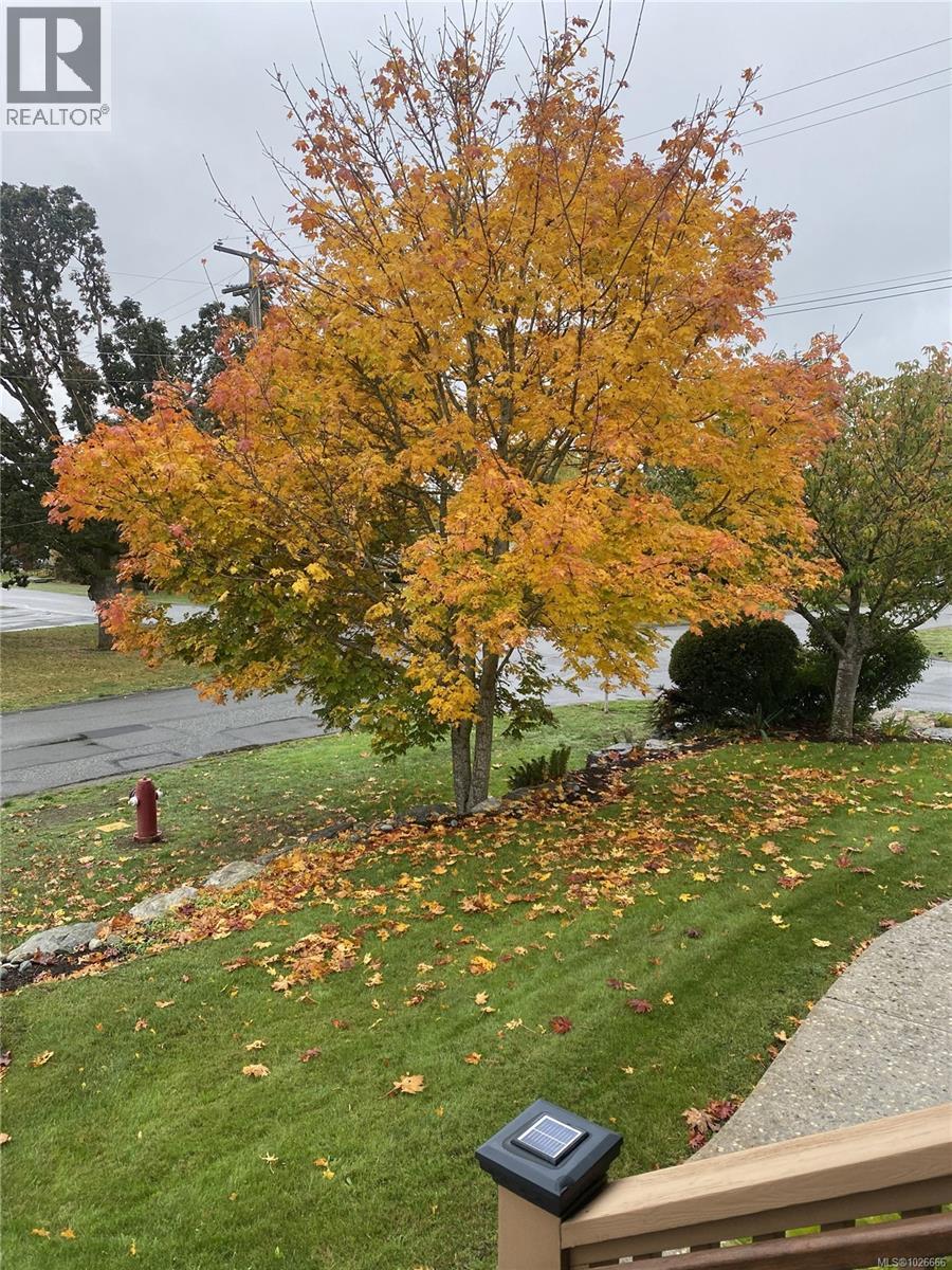 196 Homer Rd, Saanich, British Columbia  V8Z 1V6 - Photo 56 - 1026666