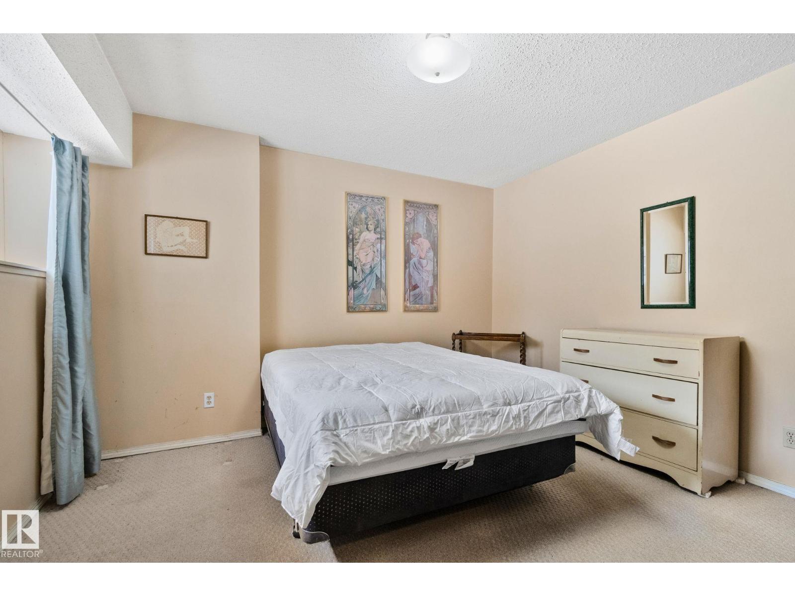 313 Willow Co Nw, Edmonton, Alberta  T5T 2K7 - Photo 18 - E4475259