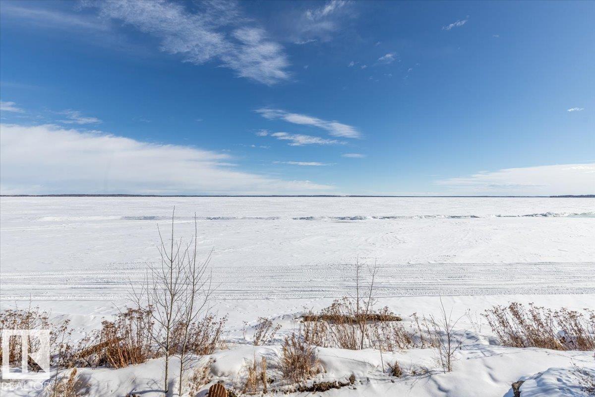 451 Poplar Bay Dr, Rural Wetaskiwin County, Alberta  T0C 1X0 - Photo 53 - E4475264