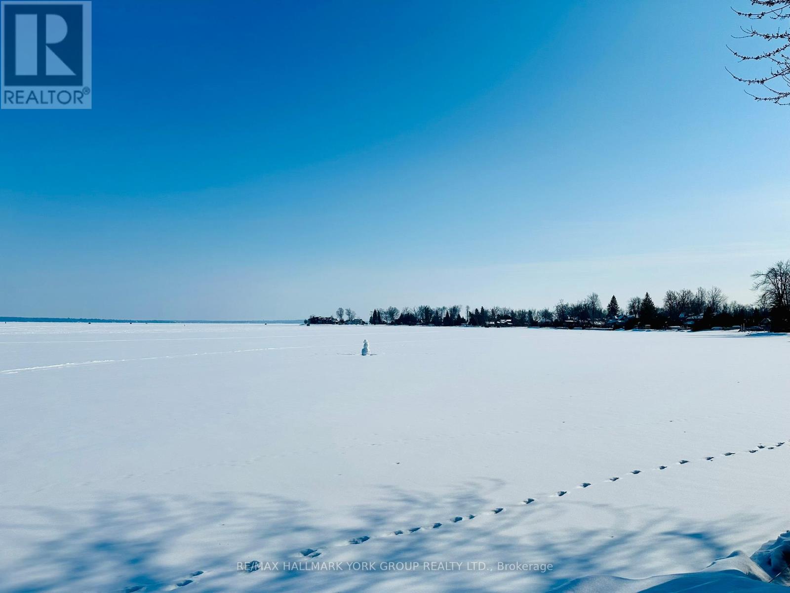 2525 Leonard Street, Innisfil, Ontario  L9S 3T7 - Photo 34 - N12825594