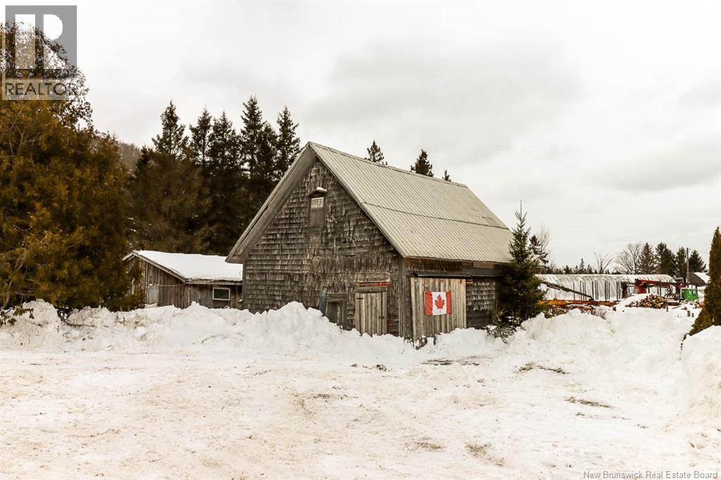 Lorem Ipsum Do, Jeffries Corner, New Brunswick  E4E  - Photo 4 - DEMO29407075