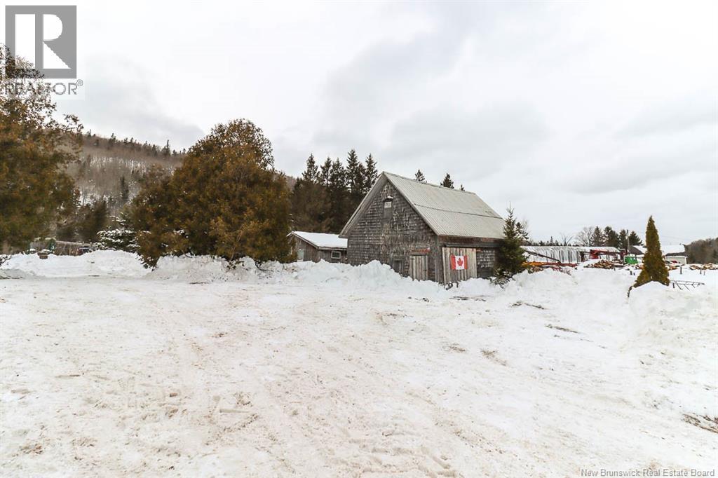 Lorem Ipsum Do, Jeffries Corner, New Brunswick  E4E  - Photo 3 - DEMO29407075