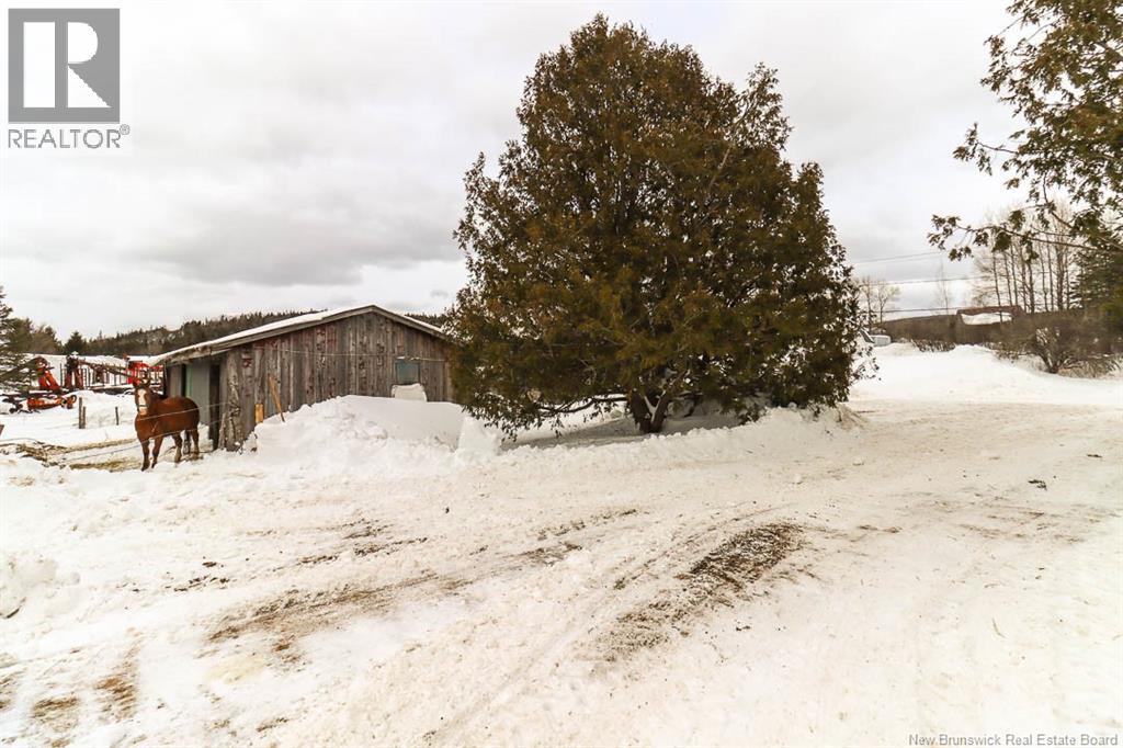 Lorem Ipsum Do, Jeffries Corner, New Brunswick  E4E  - Photo 35 - DEMO29407075