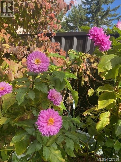 113 Woodburn Rd, Campbell River, British Columbia  V9W 4R4 - Photo 42 - 1027288