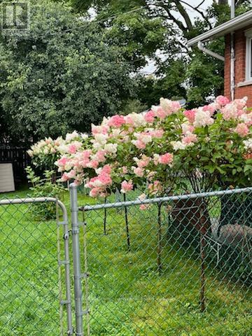 414 Knightsbridge Road, Kingston, Ontario  K7M 5S7 - Photo 50 - X12826430