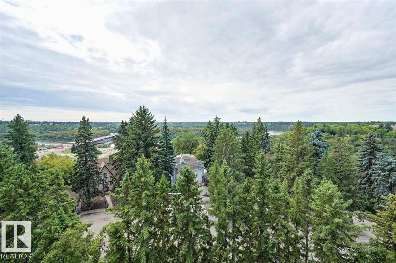 #604 10108 125 St Nw, Edmonton, Alberta  T5N 4B6 - Photo 20 - E4475288