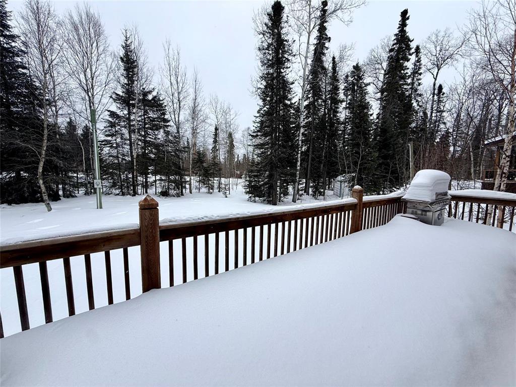 564 Goldeneye Lane, Duck Mountain Provincial Park, Manitoba  R0L 1Z0 - Photo 3 - 202603514