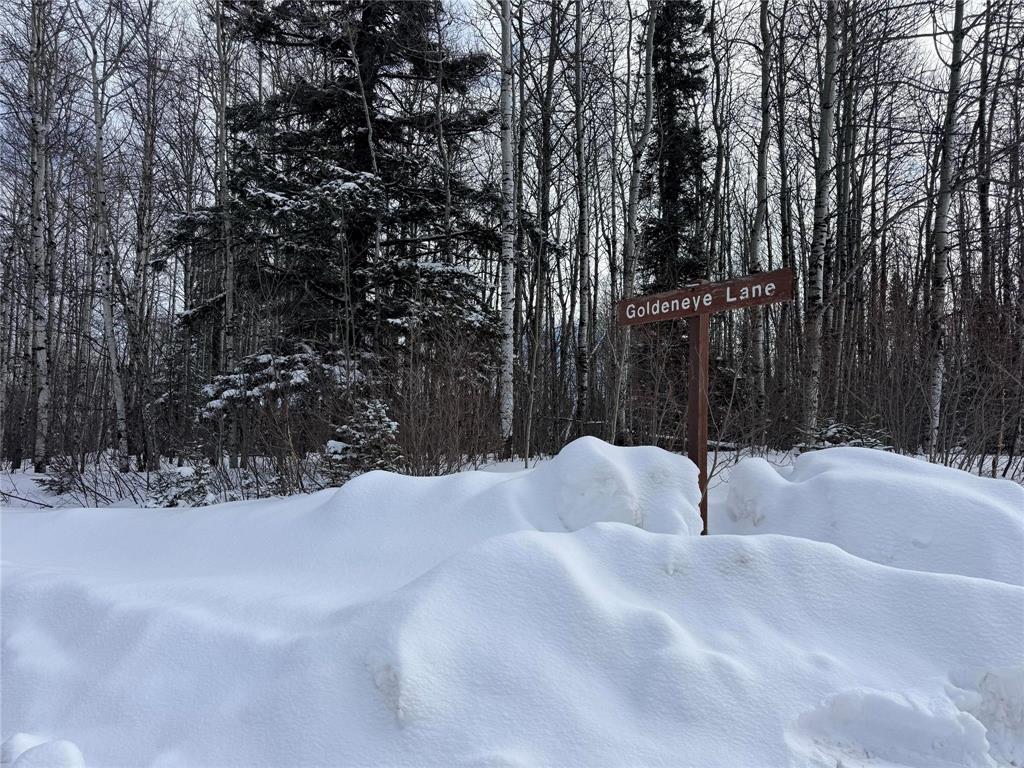 564 Goldeneye Lane, Duck Mountain Provincial Park, Manitoba  R0L 1Z0 - Photo 4 - 202603514