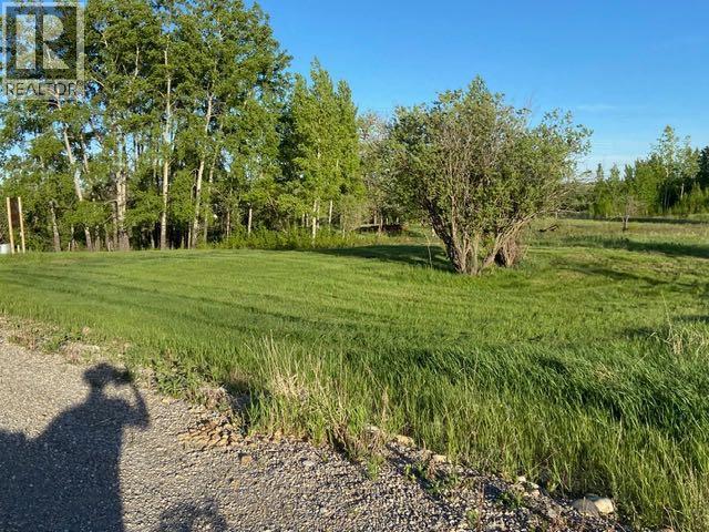 29240 Range Road 40, Rural Mountain View County, Alberta  T0M 0R0 - Photo 3 - A2288558