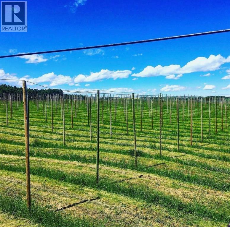 29240 Range Road 40, Rural Mountain View County, Alberta  T0M 0R0 - Photo 7 - A2288558