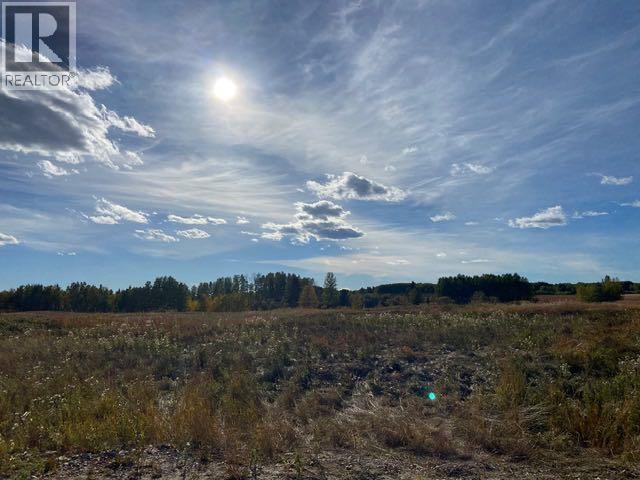 29240 Range Road 40, Rural Mountain View County, Alberta  T0M 0R0 - Photo 4 - A2288558