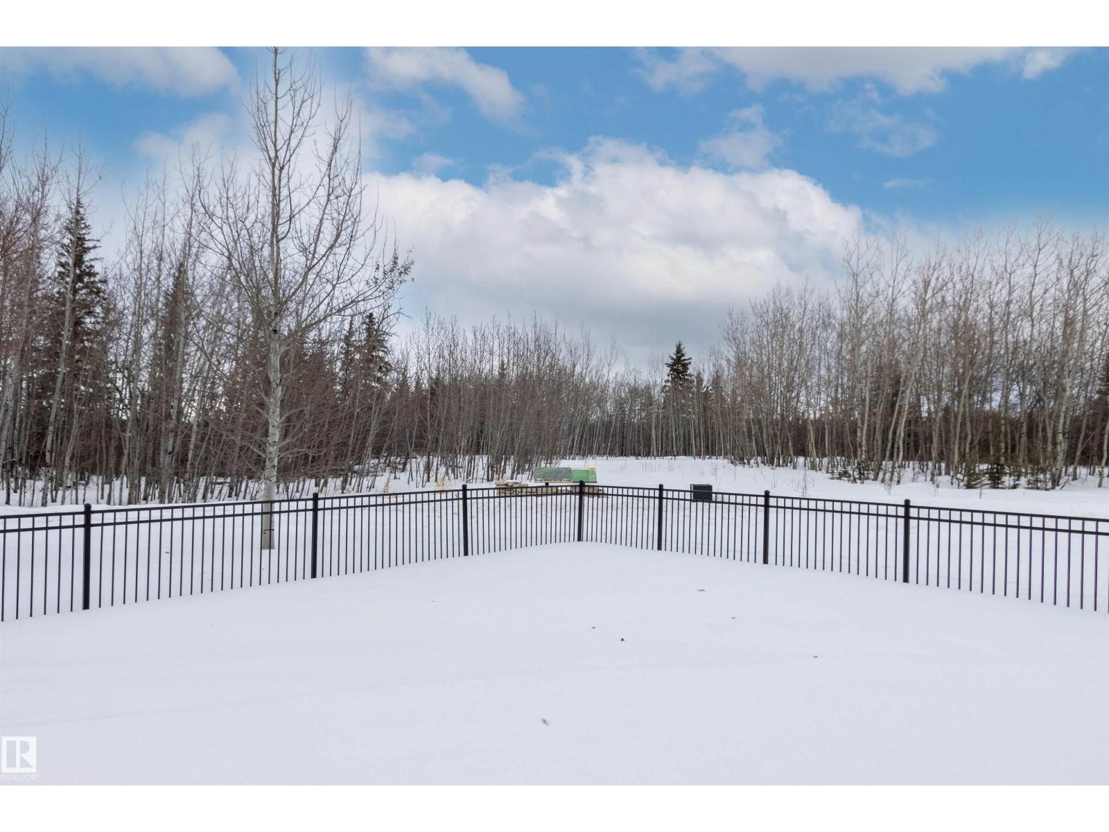 #413 7463 May Cm Nw, Edmonton, Alberta  T6R 0X1 - Photo 60 - E4475172