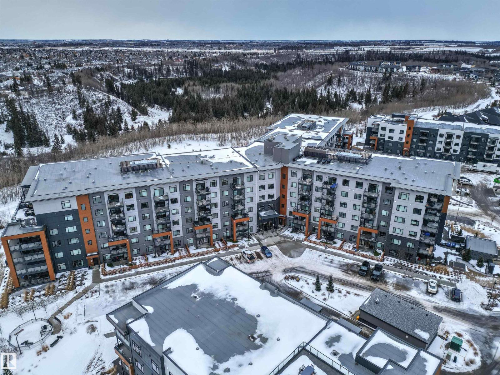 #413 7463 May Cm Nw, Edmonton, Alberta  T6R 0X1 - Photo 63 - E4475172