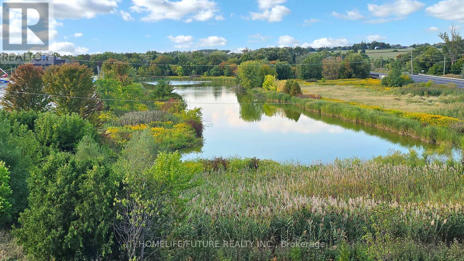 219 - 9700 Ninth Line, Markham, Ontario  L6B 1A8 - Photo 24 - N12746764