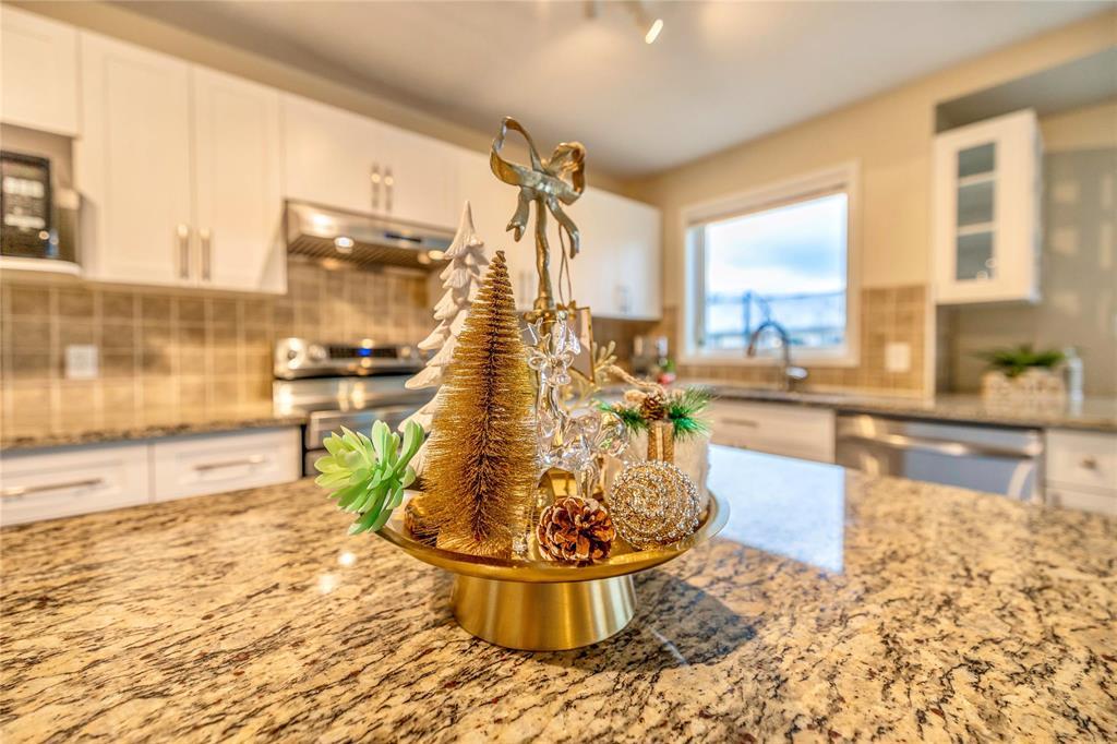 1136 Comdale Avenue, Winnipeg, Manitoba  R3T 2R8 - Photo 12 - 202603061