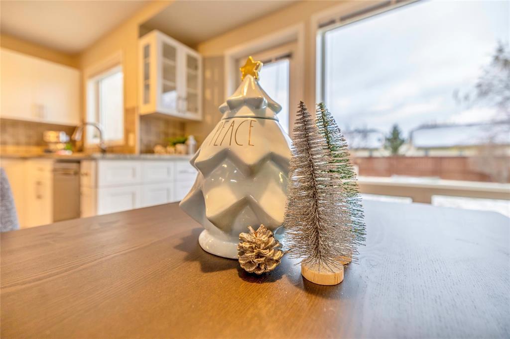 1136 Comdale Avenue, Winnipeg, Manitoba  R3T 2R8 - Photo 15 - 202603061