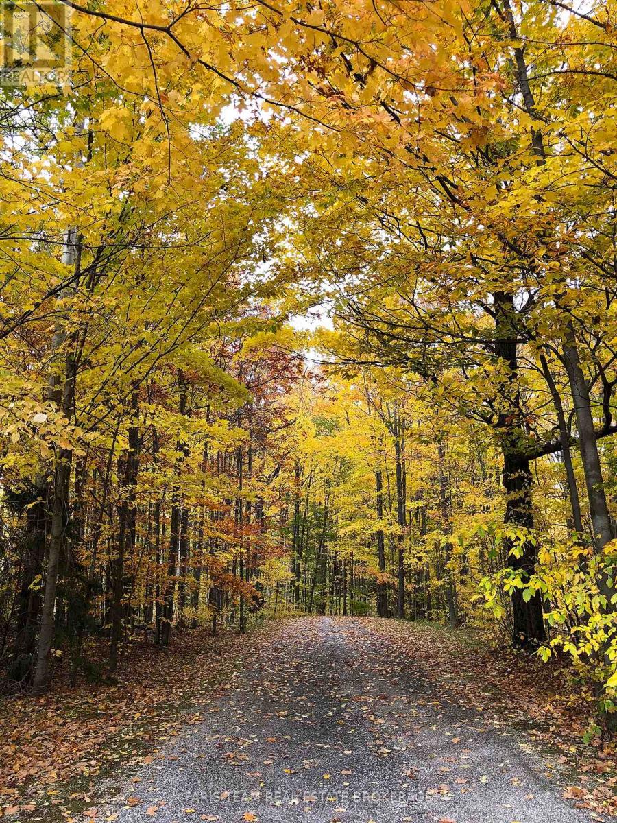 714329 Baseline Road, Grey Highlands, Ontario  N0C 1E0 - Photo 49 - X12829452