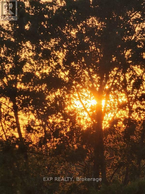 34 - 9800 Mclaughlin Road, Brampton, Ontario  L6X 4R1 - Photo 37 - W12828688