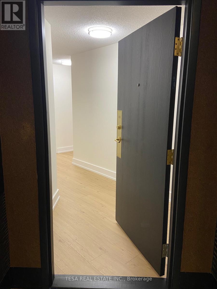 101b - 195 St Patrick Street, Toronto, Ontario  M5T 2Y9 - Photo 4 - C12829546