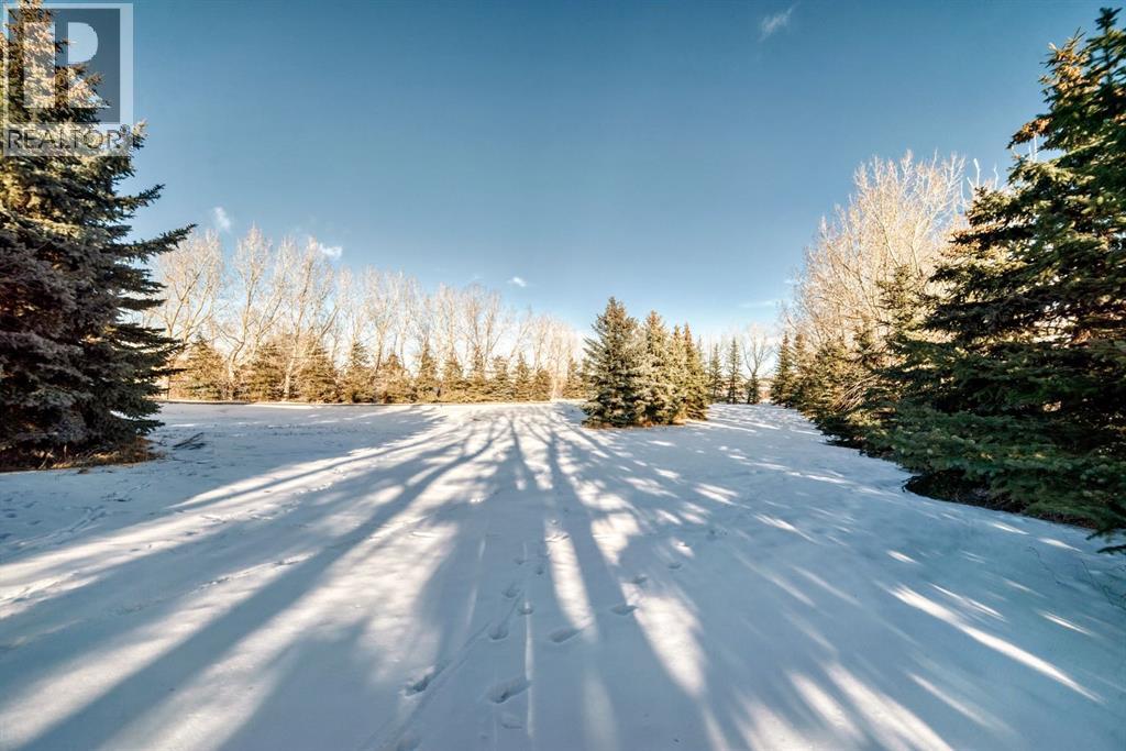 39 Stage Coach Trail, Rural Rocky View County, Alberta  T4A 0P4 - Photo 45 - A2286699
