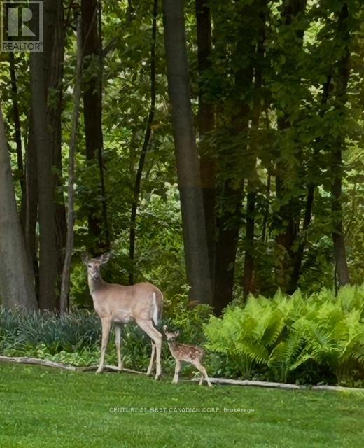 10 - 374 Front Street, Central Elgin, Ontario  N5L 1E9 - Photo 30 - X12674092