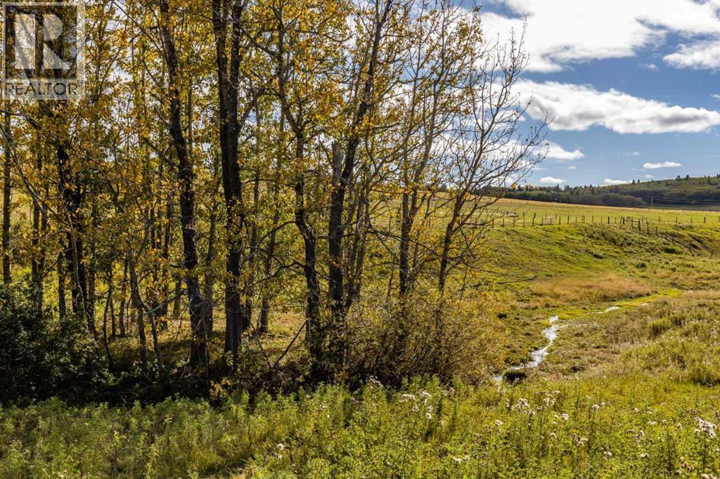 20 Acres Grand Valley Road, Rural Rocky View County, Alberta T4C 2W5 - Photo 13 - A2260437