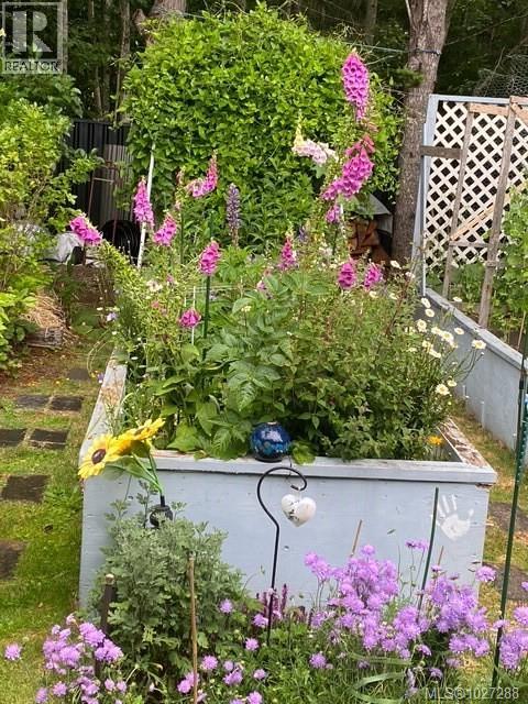 113 Woodburn Rd, Campbell River, British Columbia  V9W 4R4 - Photo 39 - 1027288